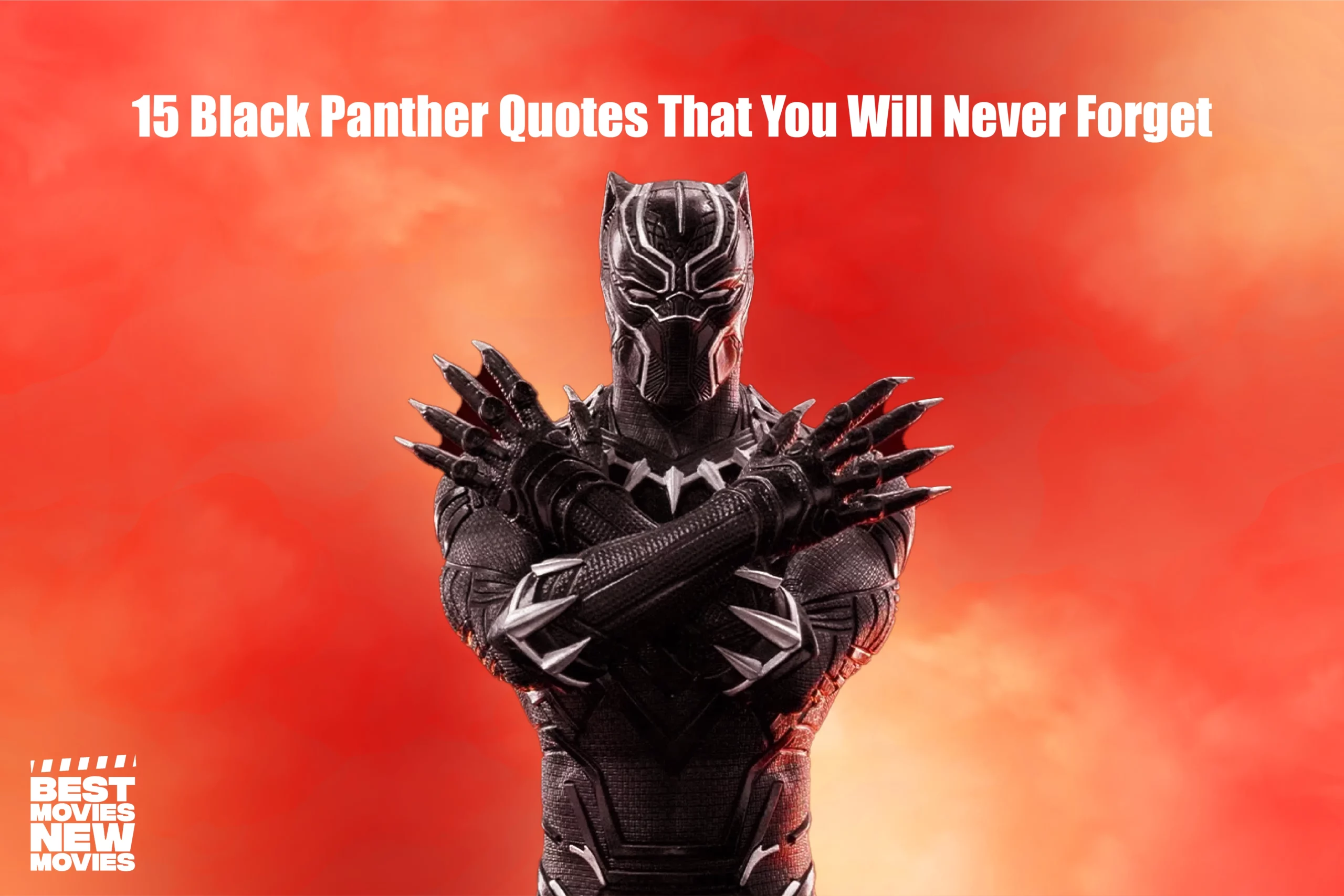 15 Black Panther Quotes That You Will Never Forget